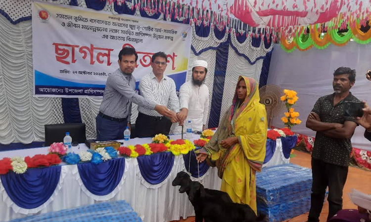 Goats distributed among ethnic groups in Natore
