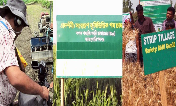 Farmers reap benefits from conservation agriculture technologies 