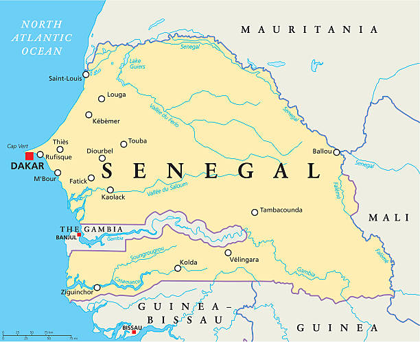 Senegal journalists arrested after interviewing wanted press magnate