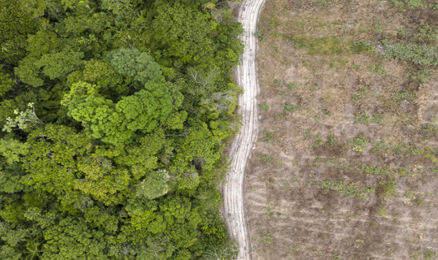 Brazil boasts drop in deforestation ahead of UN climate talks