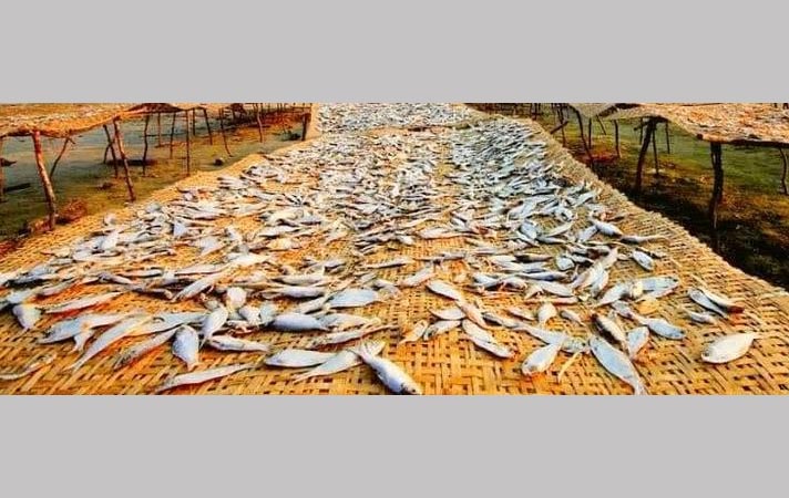 Dried fish production gainning momentum in coastal villages of Chittagong
