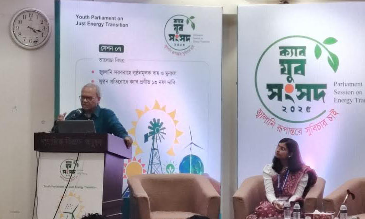 If voted to power, BNP will repeal indemnity act in power sector: Rizvi