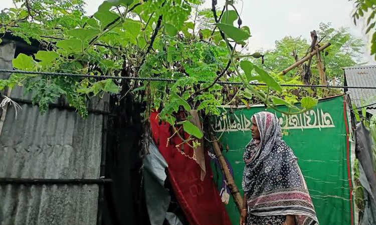 Urban slum gardening boosts food security in Rajshahi
