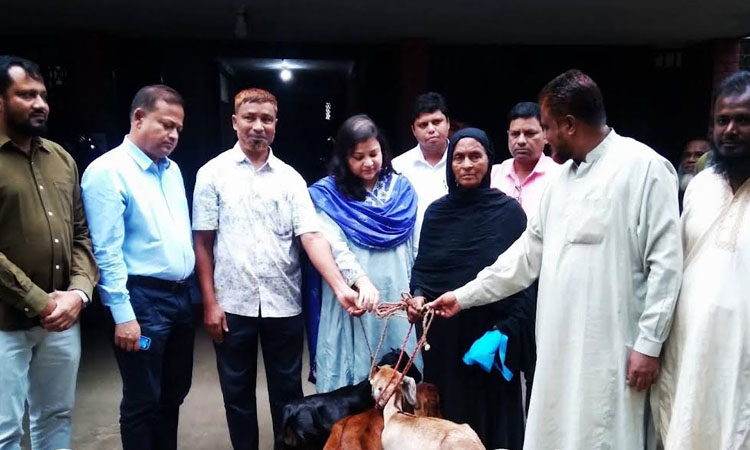36 goats distributed among beggars in Dinajpur