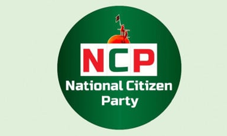 NCP forms central election steering committee for national polls