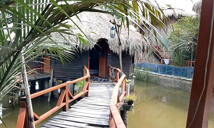 Forest-themed resorts near Sundarbans attracting tourists