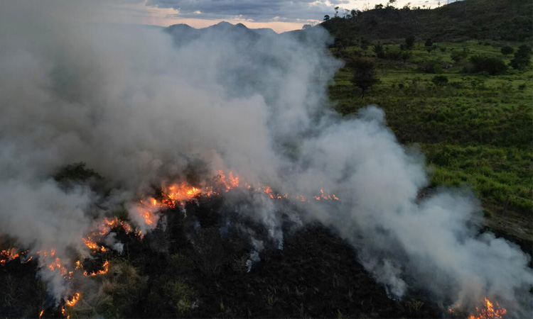 Who is setting fire to the Amazon?