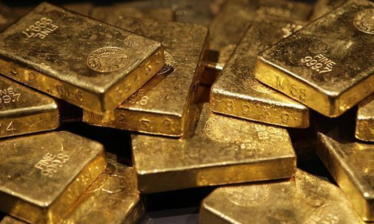 Frenchman discovers gold buried in garden