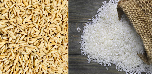 Govt to procure 7 lakh MTs rice, paddy