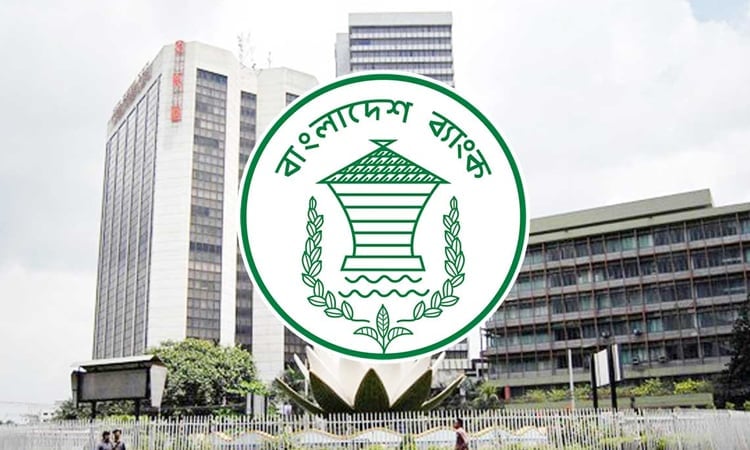 Forex reserves stand at $31.10b