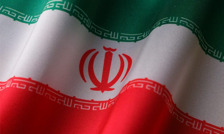 Iran executes man in public over killing of physician