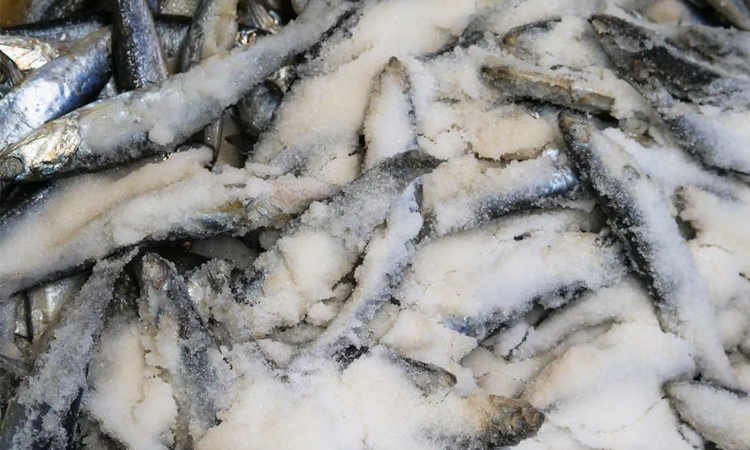 BB clarifies gross weight for frozen fish export subsidies