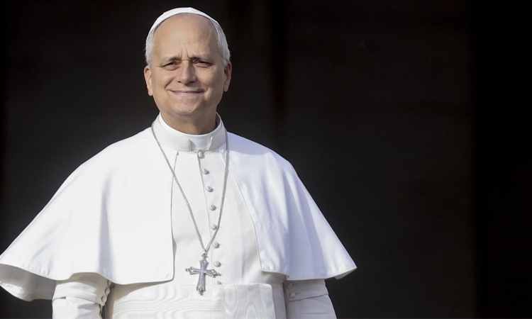 Pope decries lack of political will on climate change