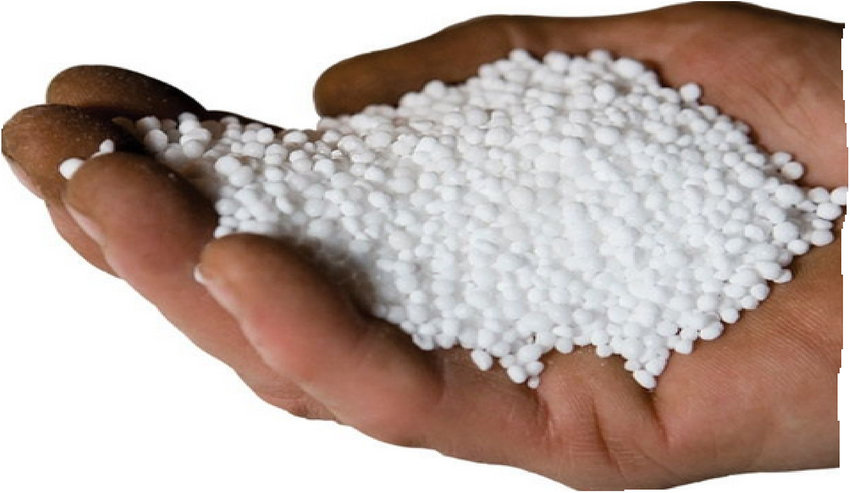 Govt to procure 2.20 lakh MTs fertilizer