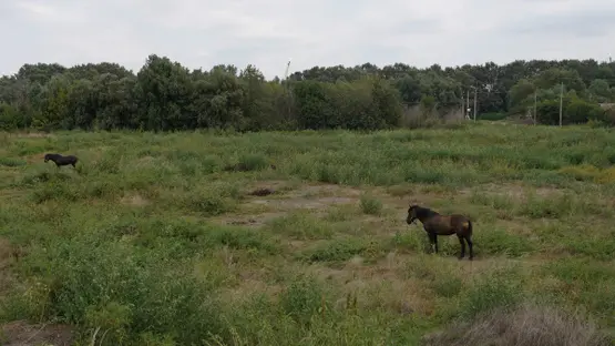 Romania evacuation order lifted after Russia attack on Ukraine