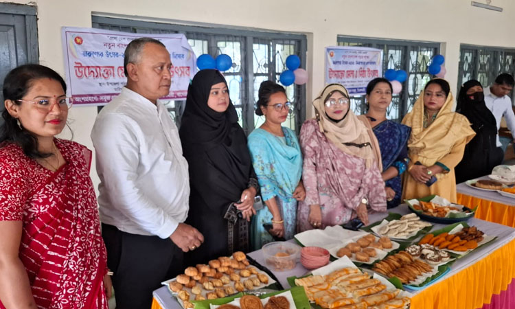 Entrepreneur fair and pitha festival held in Bagerhat