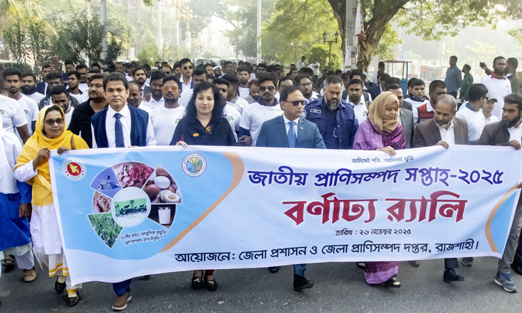 Significant success attained in country's livestock sector: Speakers