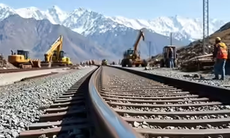 Train hits China railway workers, killing 11: state media