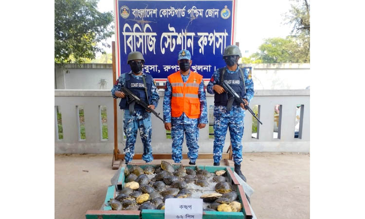 62 rare turtles recovered in Khulna 