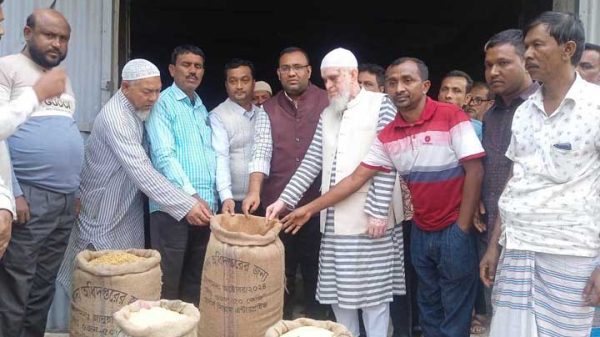 Aman paddy, rice procurement drive begins in Gaibandha 