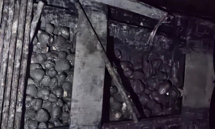 8 held with 100 kg of snails, oysters in Satkhira