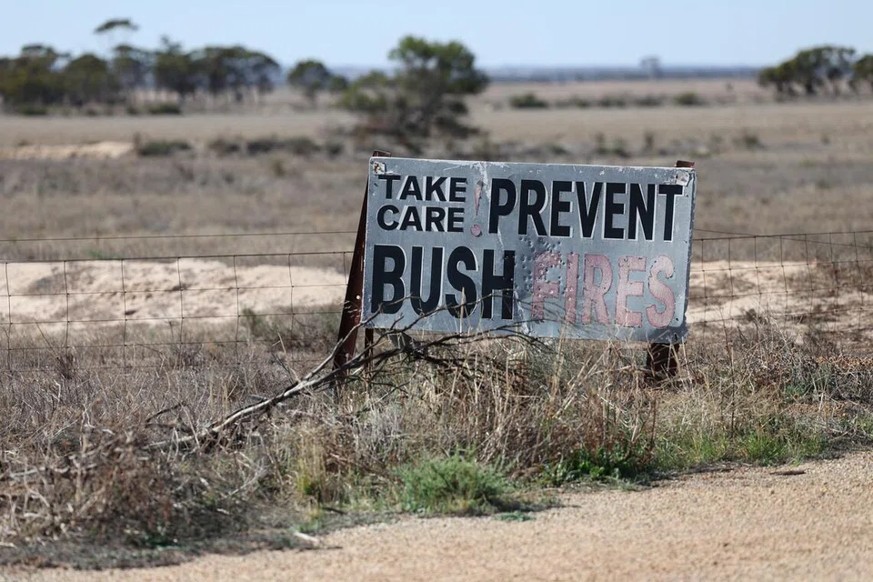 Hot winds fan dozens of bushfires across eastern Australia