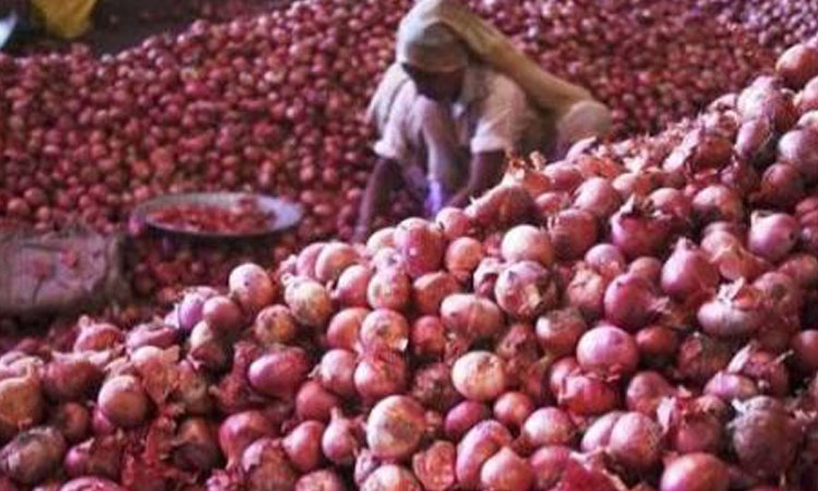 Onion prices start to decline in Dinajpur