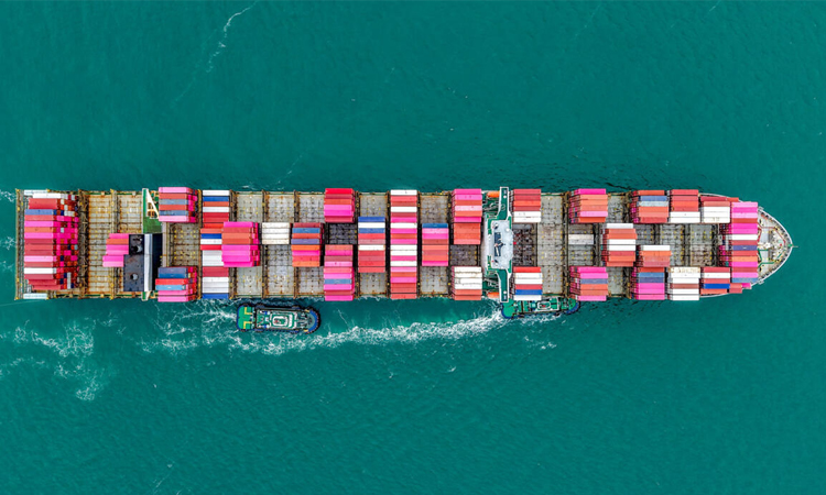 China's trade surplus tops $1 trillion despite plunge in US-bound exports