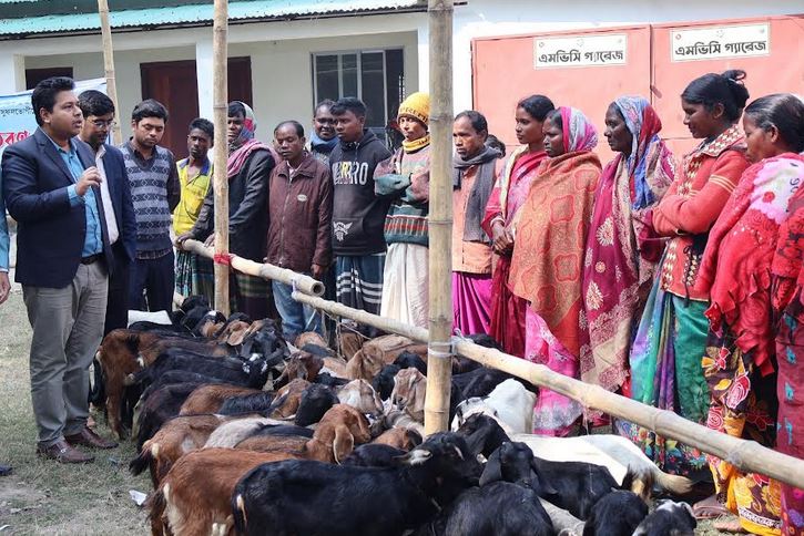 Goats distributed among 100 minority ethnic families in Natore