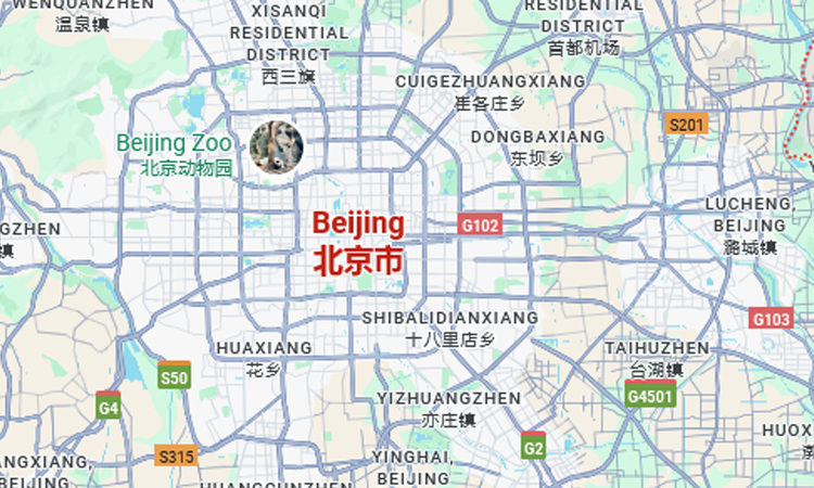 China executes former senior banker for taking $156 mn bribes