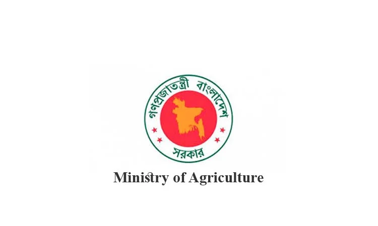 Daily 200 IPs to be issued to stabilize onion market