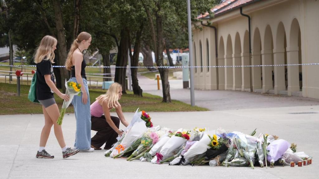 Father and son gunmen kill 15 at Jewish festival on Australia's Bondi Beach