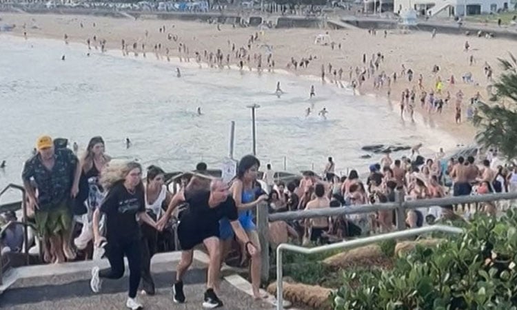 Father and son gunmen kill 15 at Jewish festival on Australia's Bondi Beach