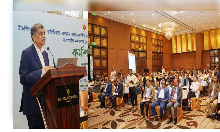 Integrated approach needed to address challenges in higher education: Dr Abrar 