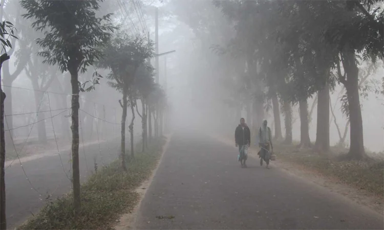 Tetulia shivers under mild cold wave for a week