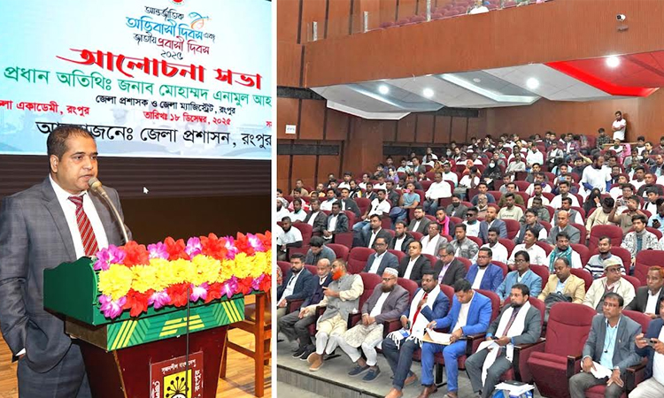 Job-seekers abroad should acquire professional skills, learn language