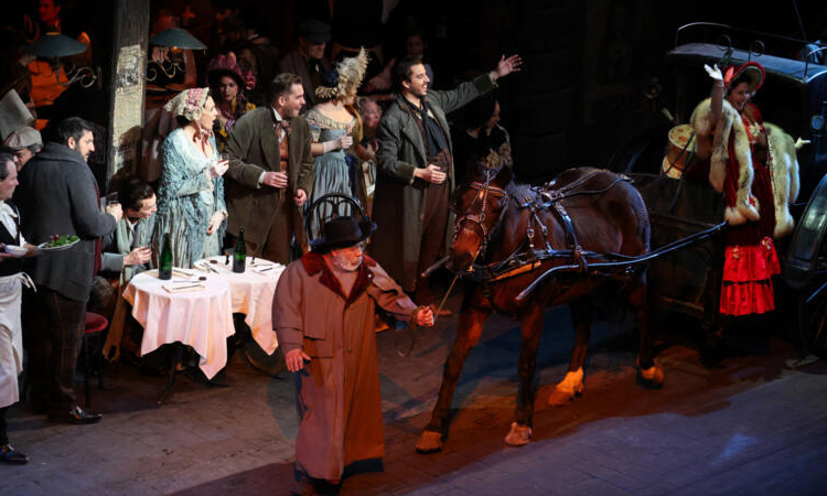 Pets, pedis and peppermints: When the diva is a donkey