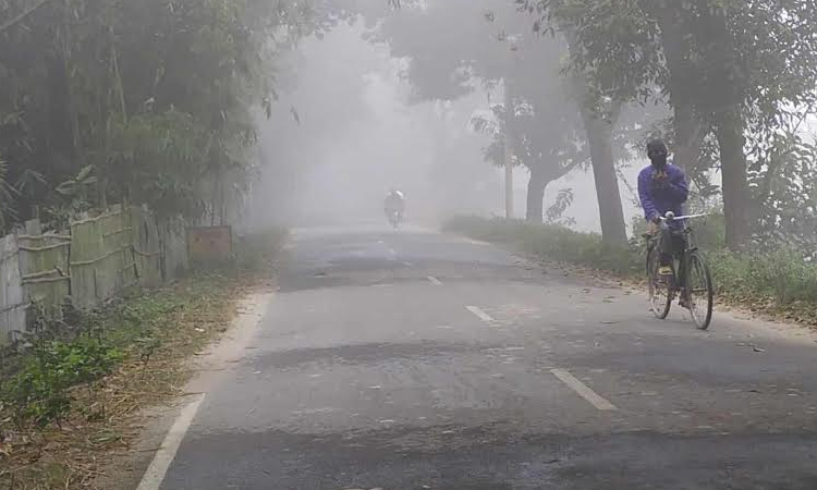 Cold wave grips Panchagarh as dense fog disrupts daily life
