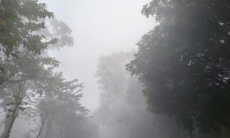 Biting cold, dense fog worsen hardship of char dwellers in Kurigram