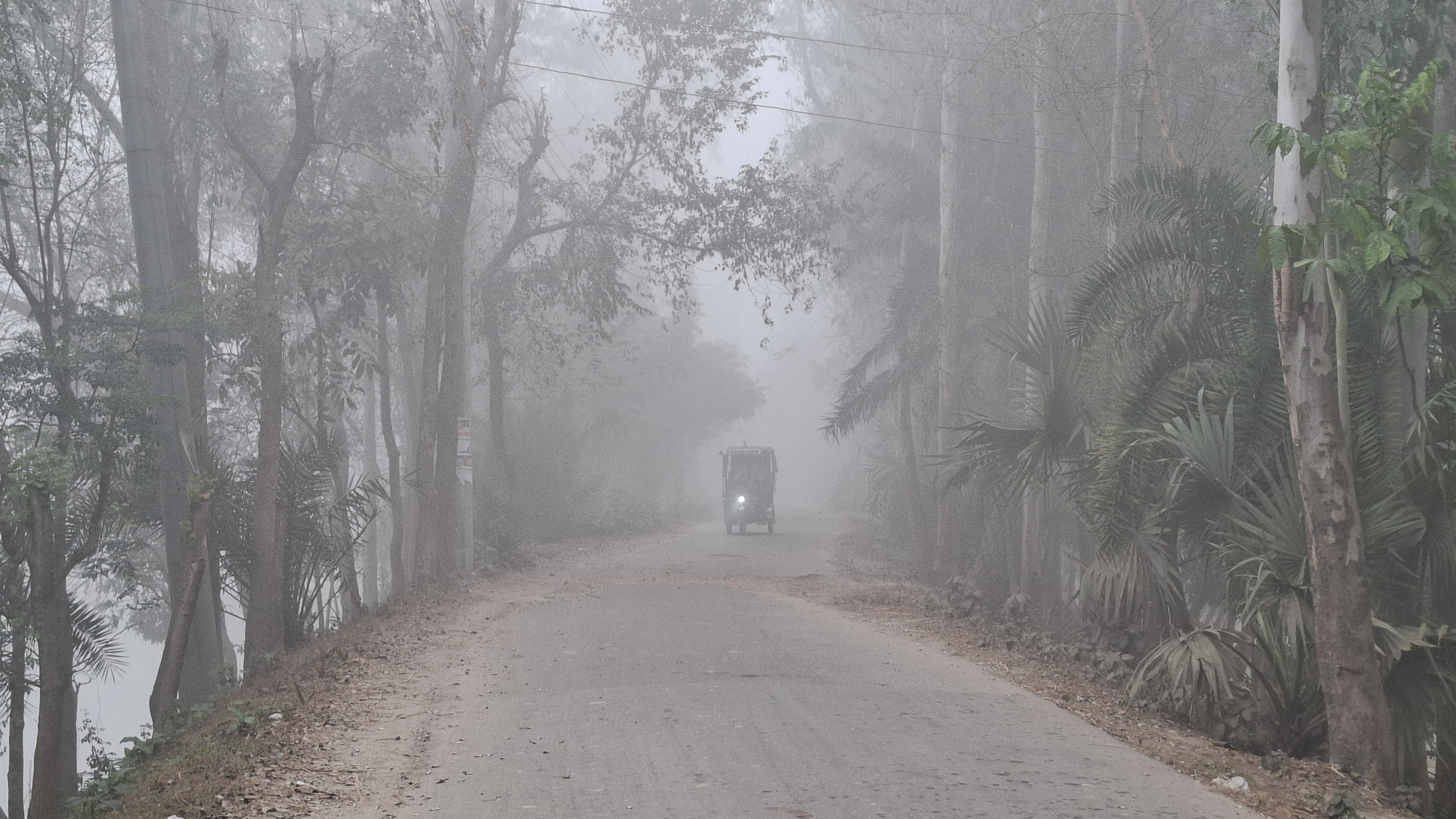 Cold wave in 17 districts, forecasted dense fog
