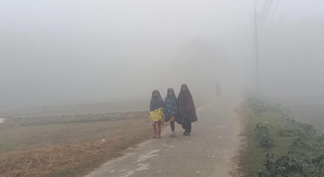 Mercury dips to 8 degree Celsius in Jashore