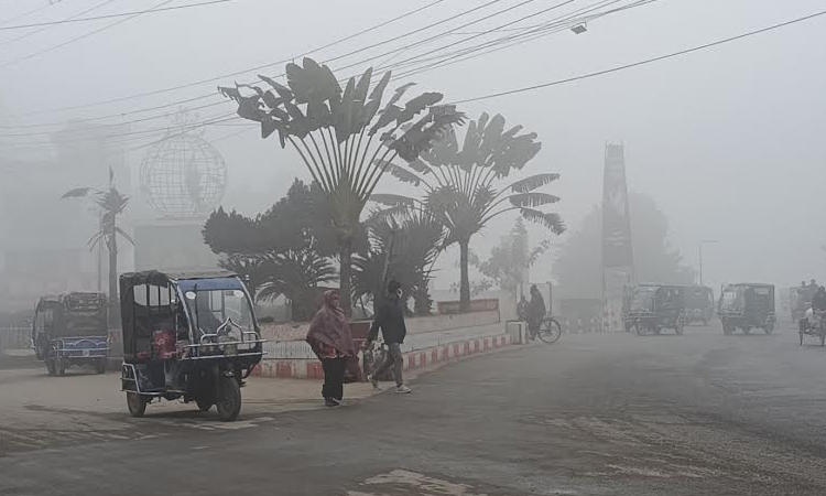 Severe cold grips Panchagarh, disrupting normal life