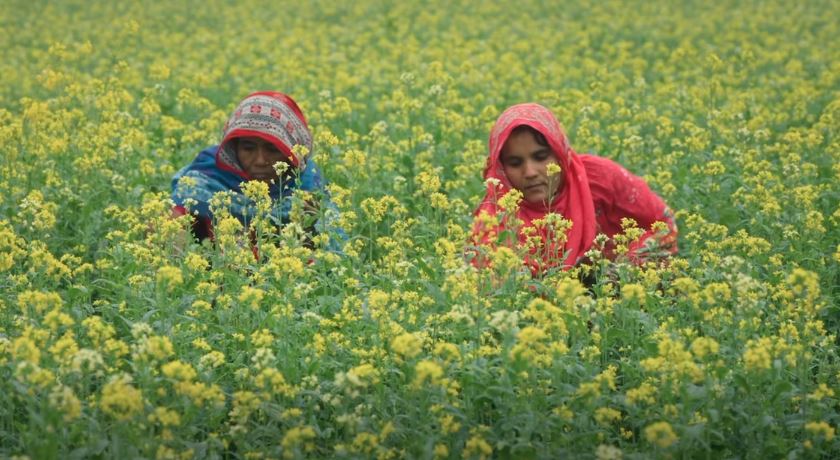 Govt releases TVC on female voters ahead of polls, referendum