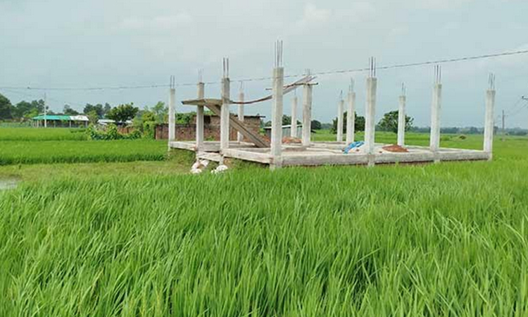 Rajshahi region loses 90,000 hectares of arable land in 17 years