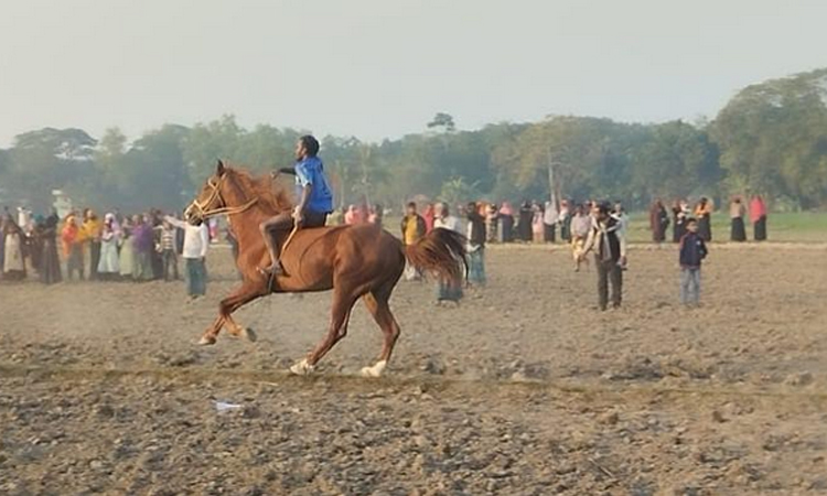 Horse racing revives rural tradition in Pakundia