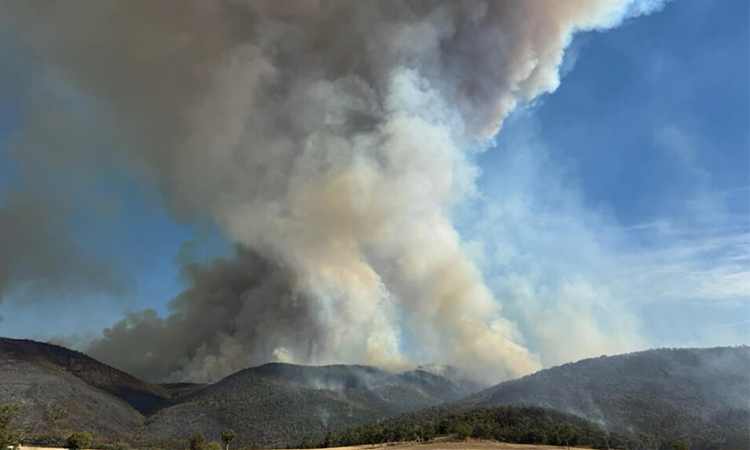 Australia declares state of disaster as bushfires rage