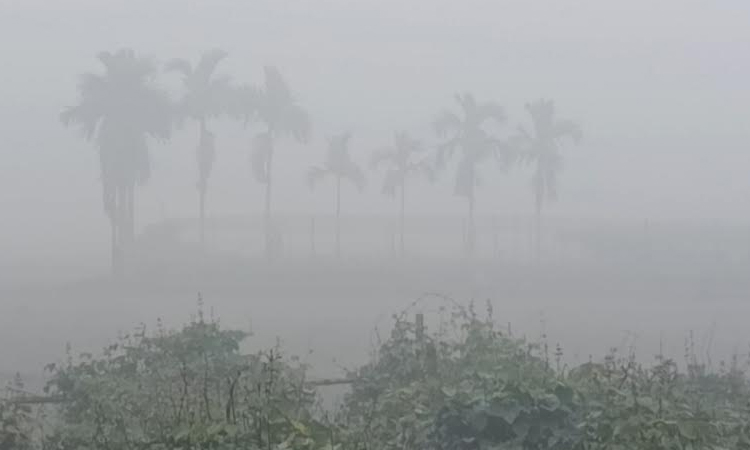 Panchagarh shivers as country's lowest temperature persists for fourth day