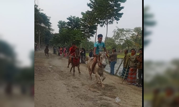 Thousands flock to traditional horse racing competition in Narail
