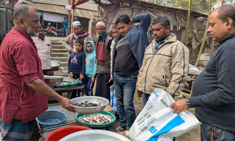 Shariatpur hosts traditional 'Pair Hilsa Fair' amid festivity