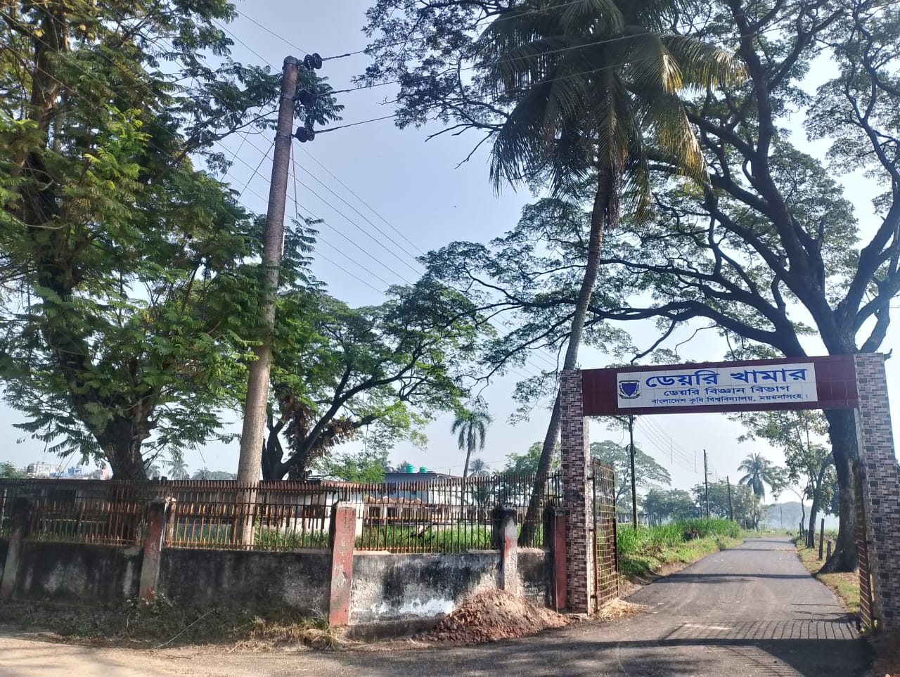 BAU’s dairy farm emerges as hub of education and research